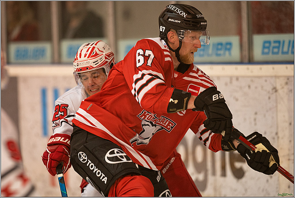 PENNY DEL; Testspiel Koelner Haie- EC Bad Nauheim; Koeln, 02.09.2022